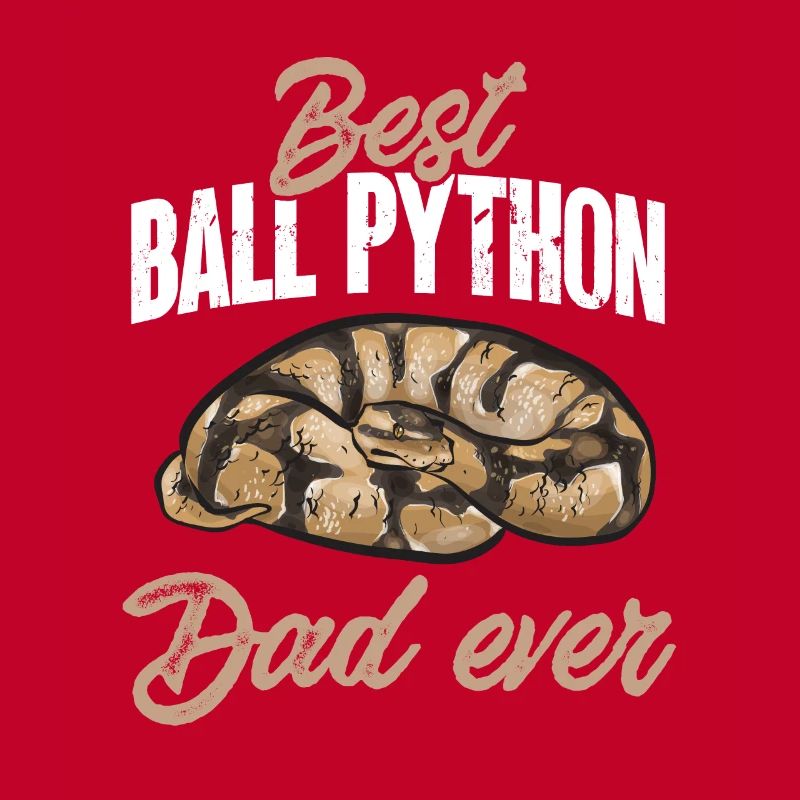 Ball Python Schlange Königspython