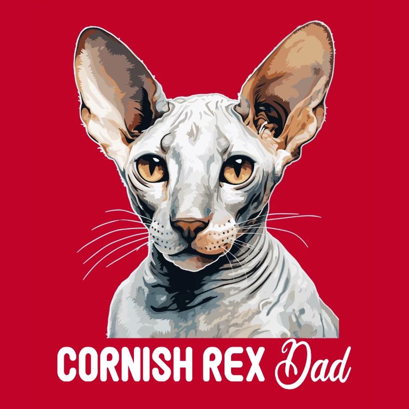 Cornish Rex Kätzchen Cornish Rex Katze