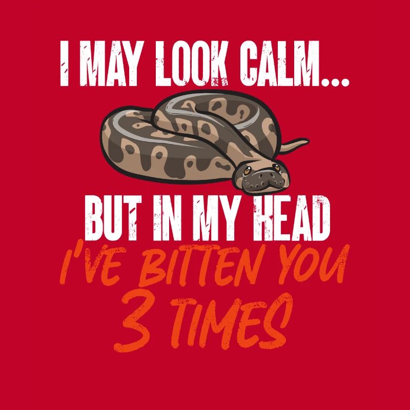 Ball Python Snake King Python