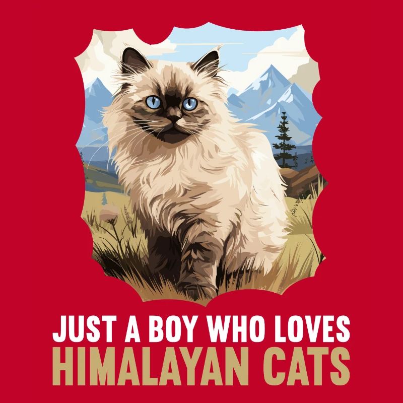 Chat de l’Himalaya Colourpoint Katze