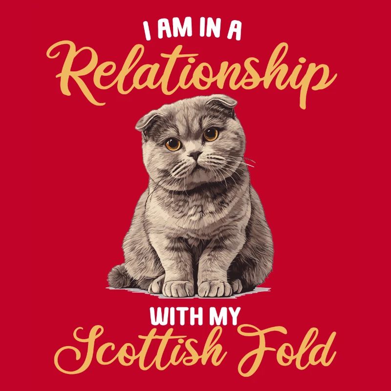 Scottish Fold Kitten Scottish Fold Cat