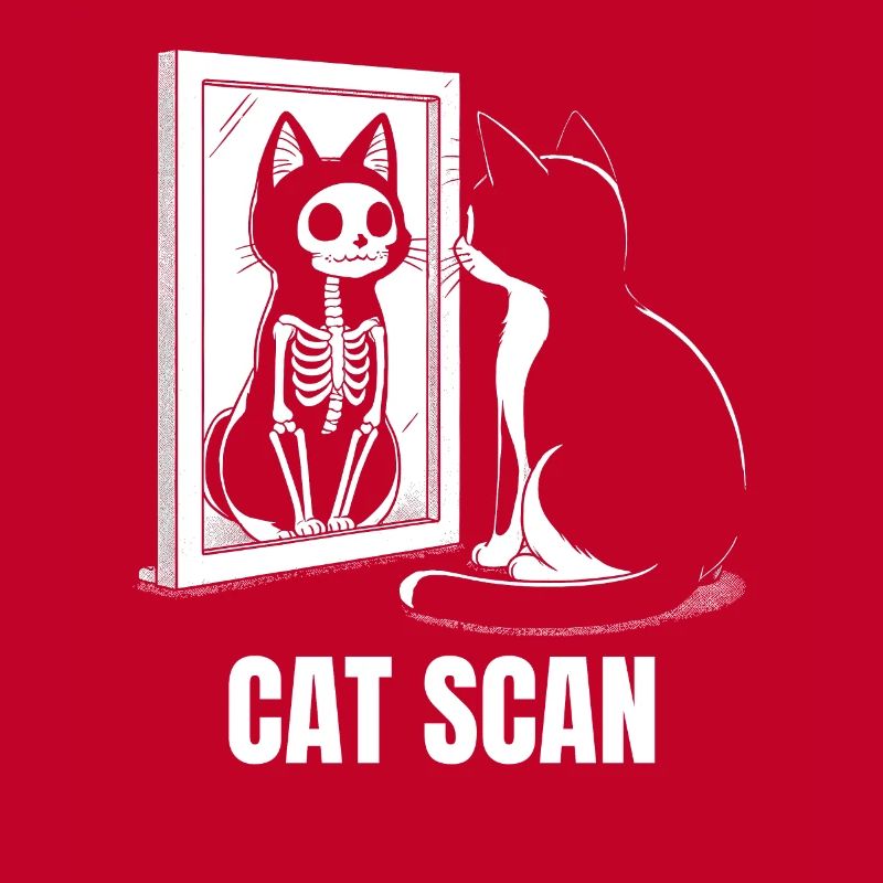 Cat Scan