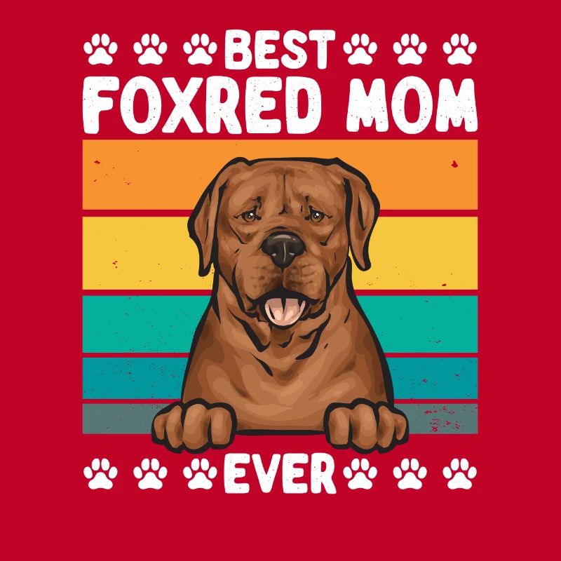 Fuchsroter Labrador Retriever Fox Red Labrador