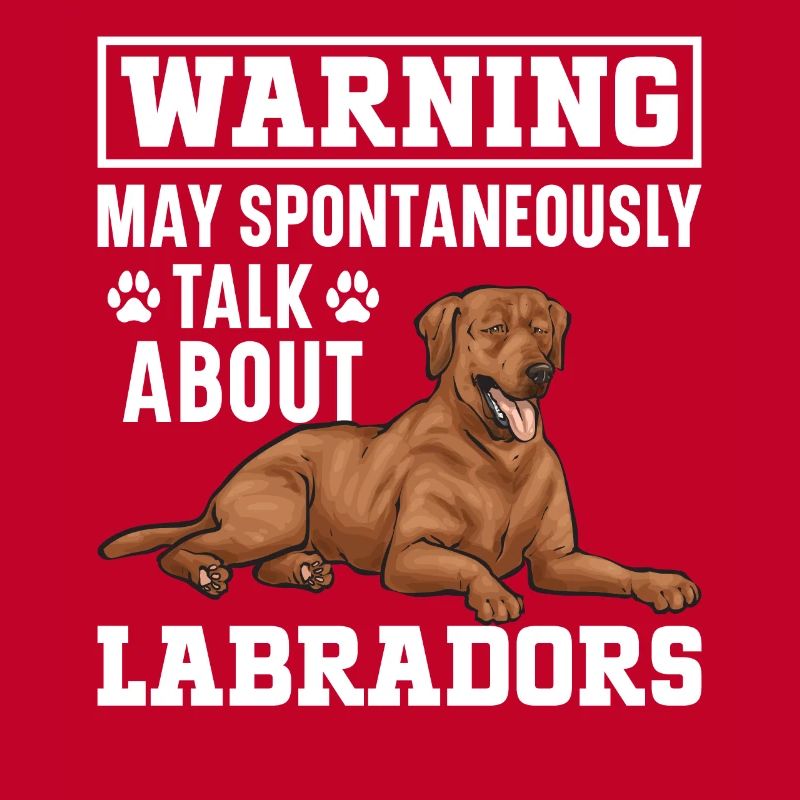 Fuchsroter Labrador Retriever Fox Red Labrador