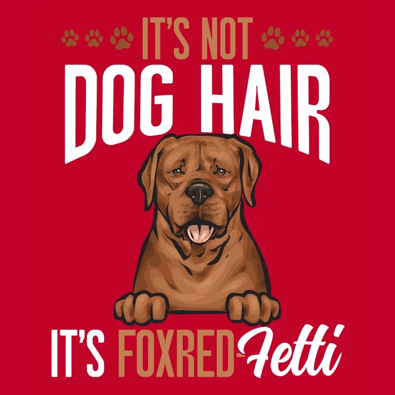 Fuchsroter Labrador Retriever Fox Red Labrador