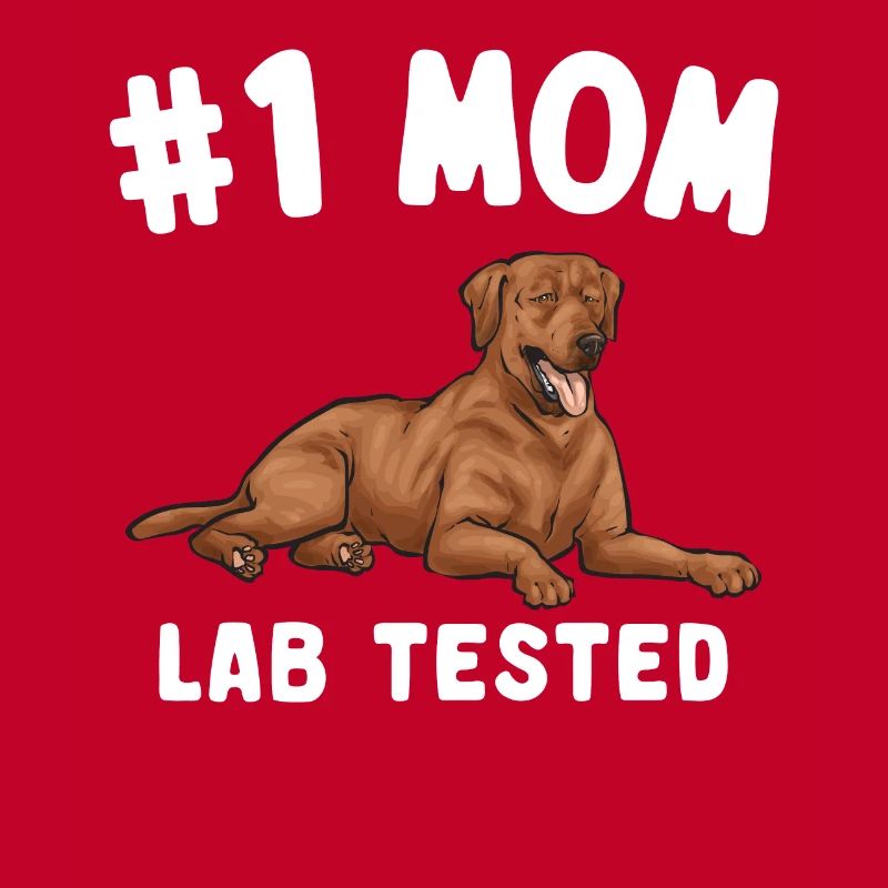Fuchsroter Labrador Retriever Fox Red Labrador