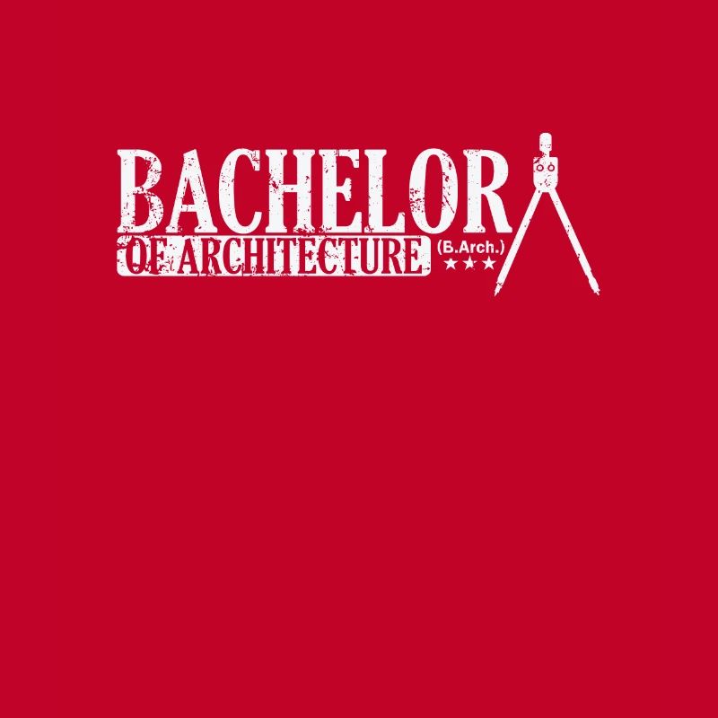 Baccalauréat en architecture (B.Arch.)