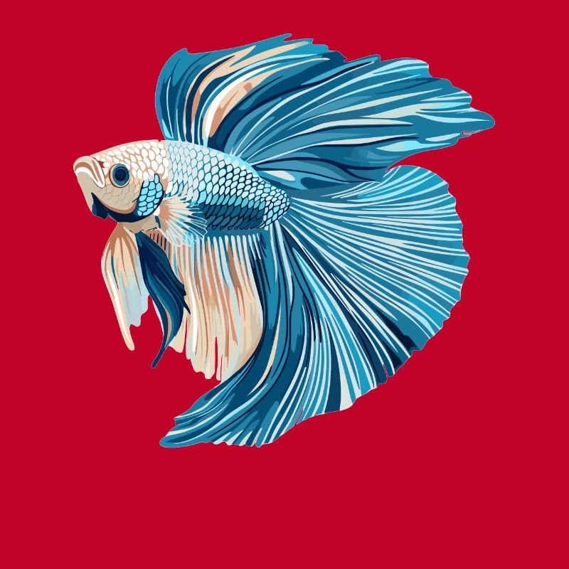 Bettas Betta Poisson Betta