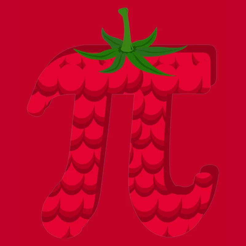Raspberry Funny Pi Day Pie Math Lover Fruit