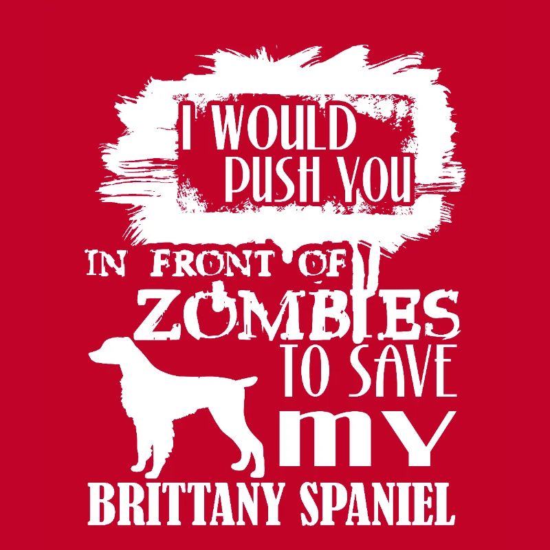 Save My Brittany Spaniel