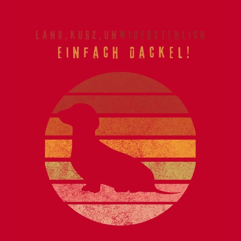Dackelpower – Kurz, frech, einzigartig!