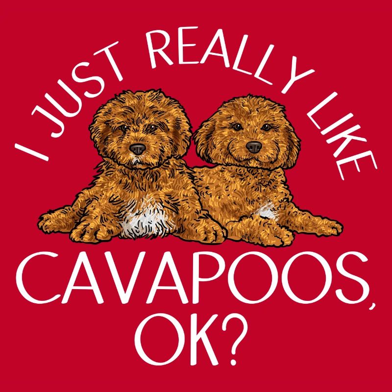 Cavapoo Cavoodle Capoodle Dog