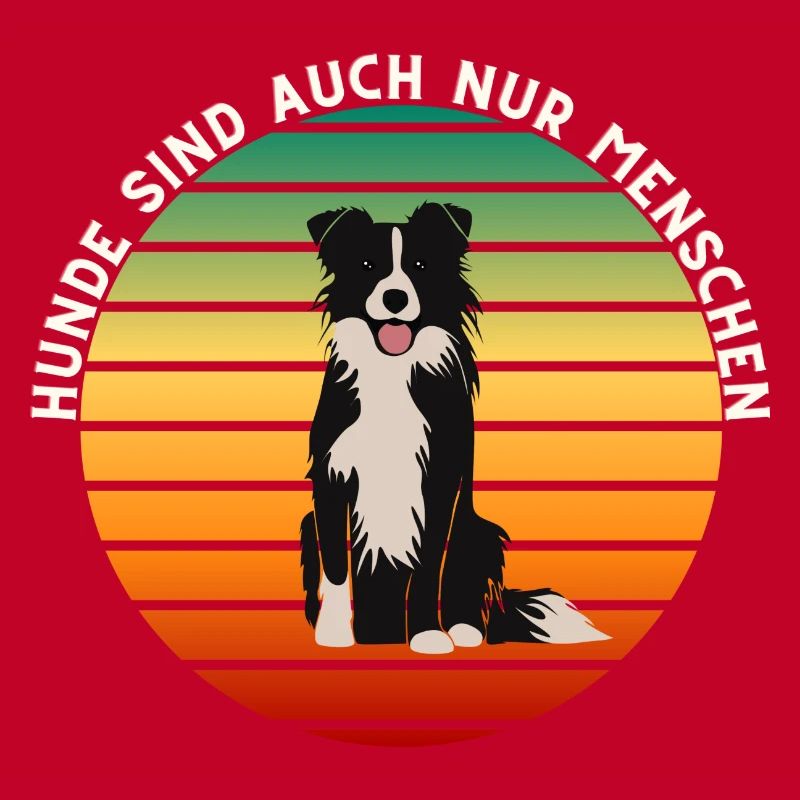 Mignon border collie dans un coucher de soleil rétro