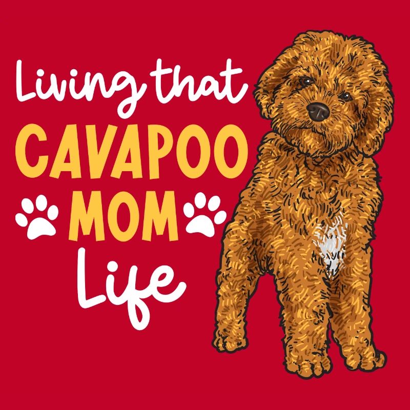 Cavapoo Cavoodle Capoodle Chien