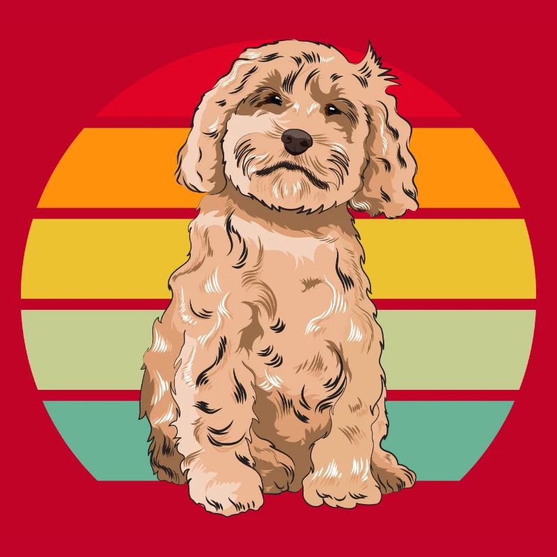 Cockapoo Dog