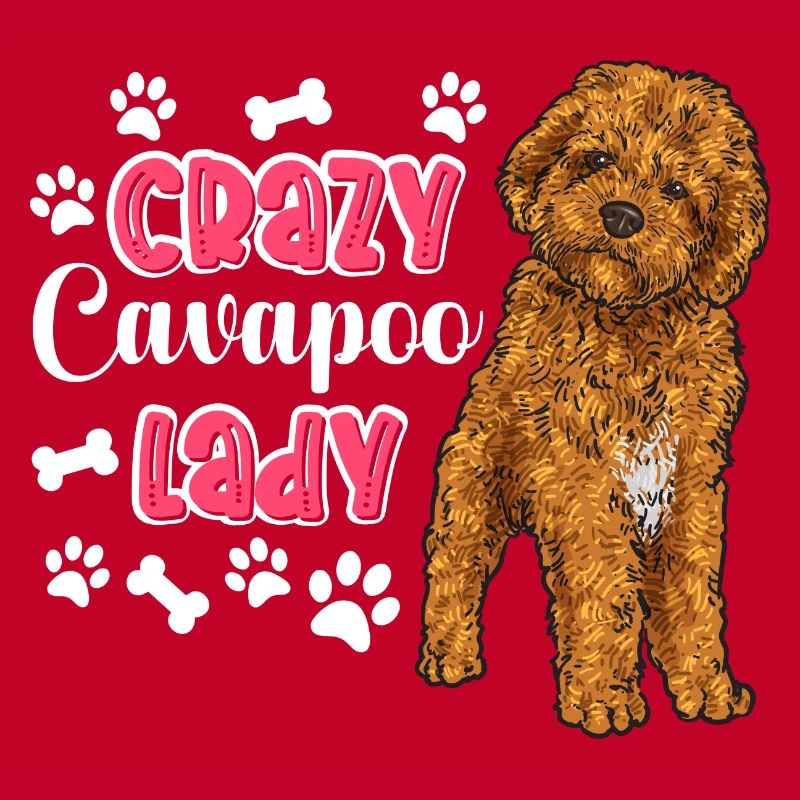 Cavapoo Cavoodle Capoodle Chien