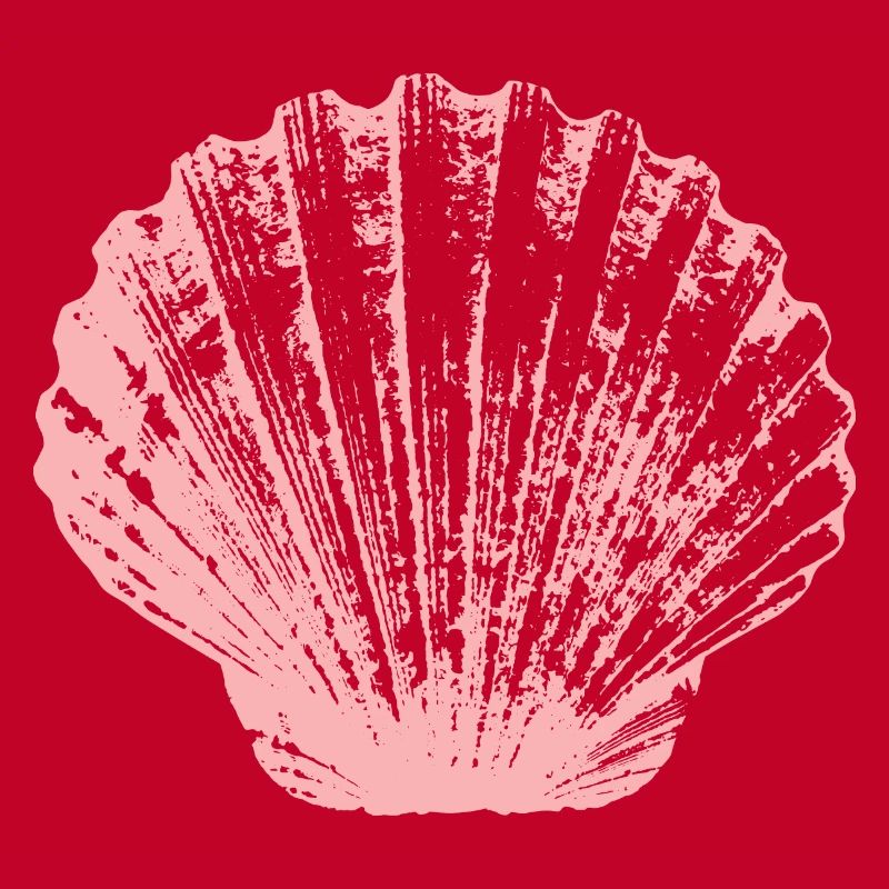 Coquille Saint-Jacques