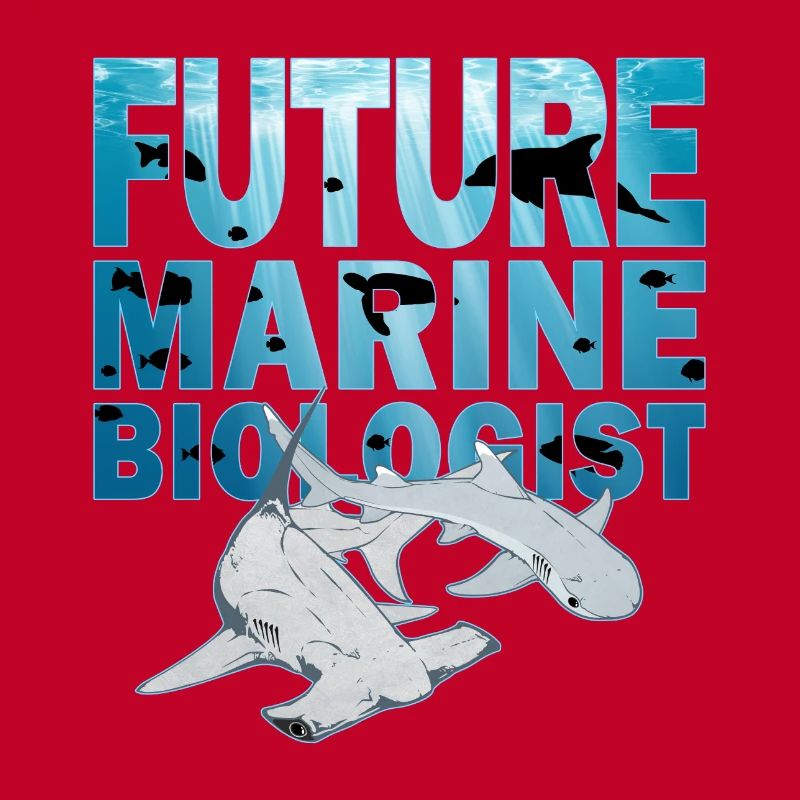 Requin-marteau à pointe blanche