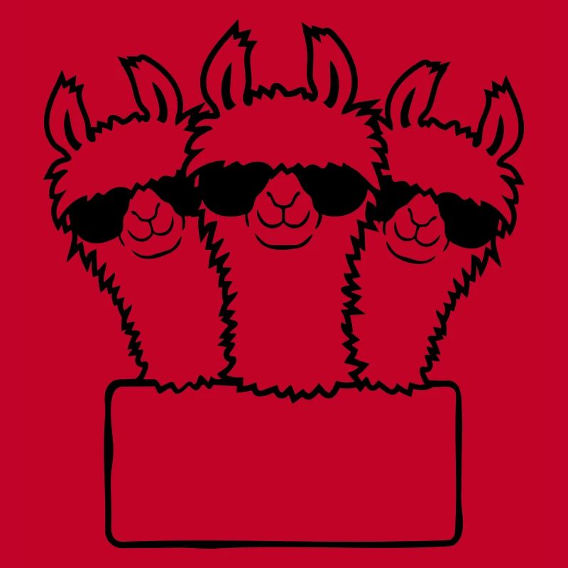 Bouclier vide de l’équipe Lamas