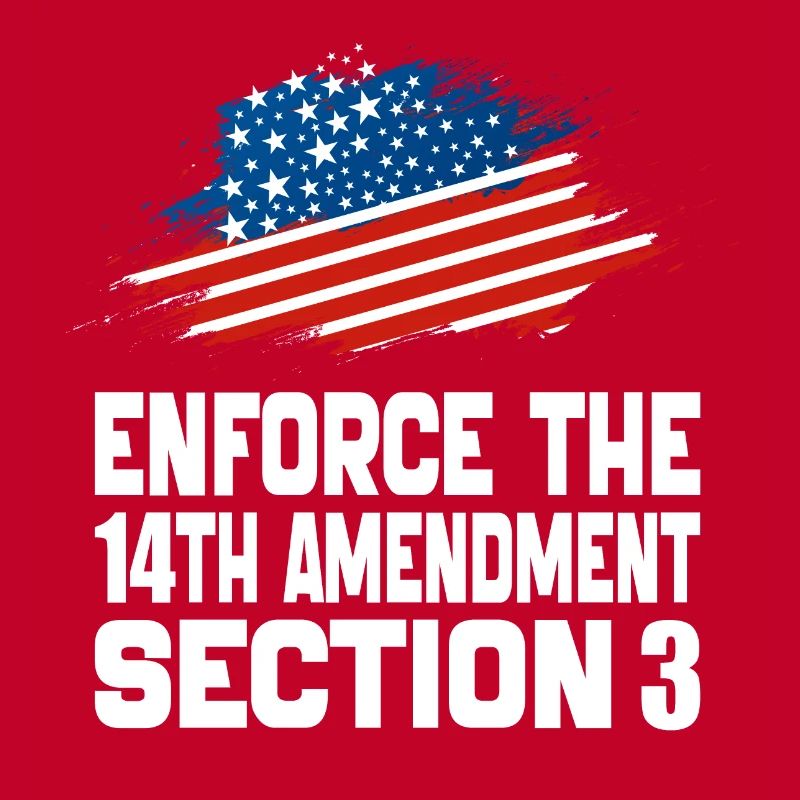 Enforce The 14TH Amendment Section 3