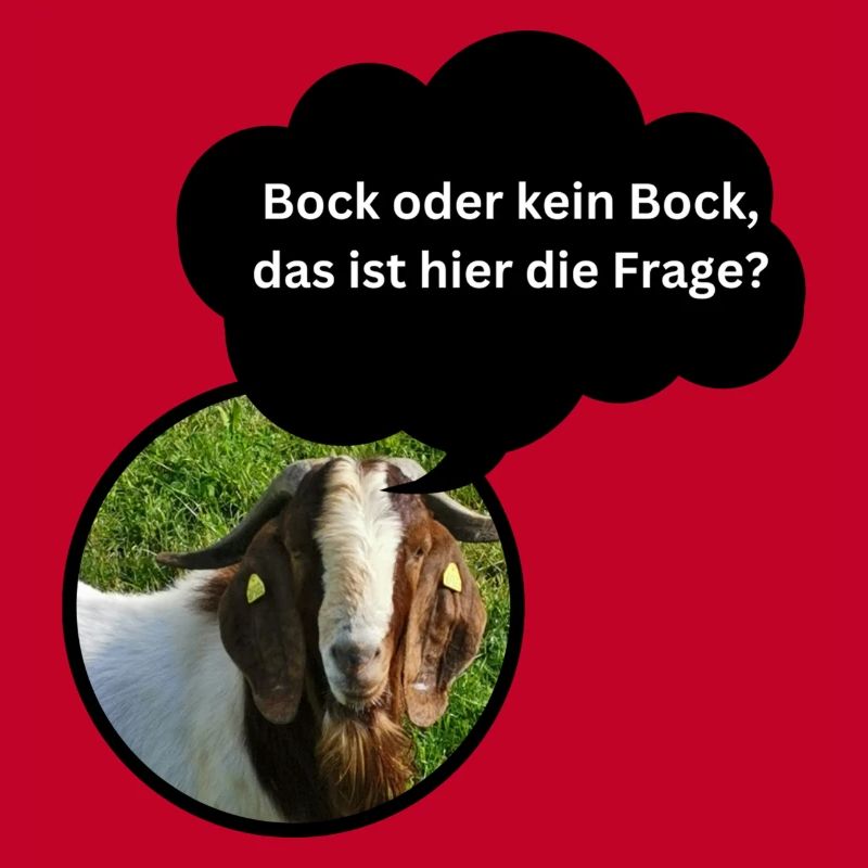 Chemise amusante « Bock oder kein Bock... »