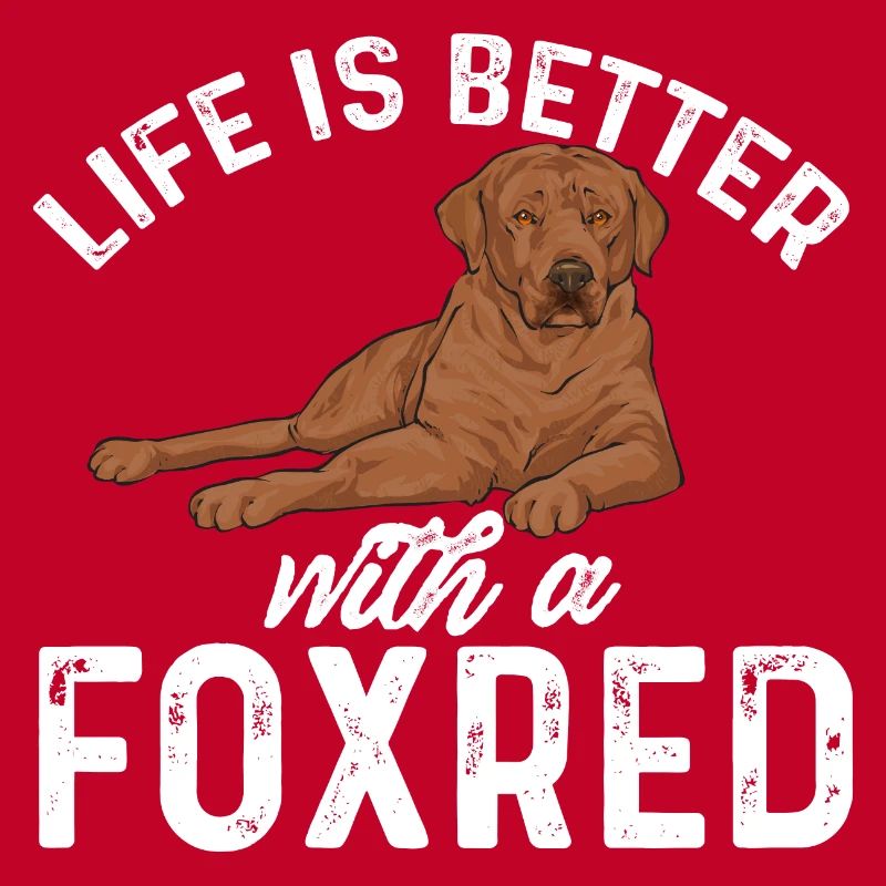 Foxred Labrador Fox Red Labrador Retriever
