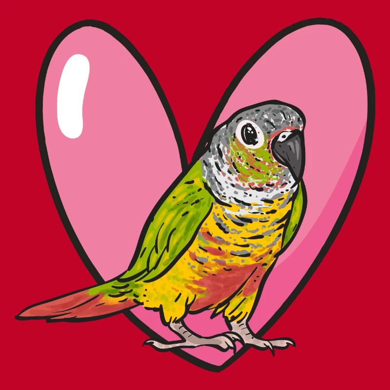 Molina Perruche Perroquet Perruche Oiseau Perruche