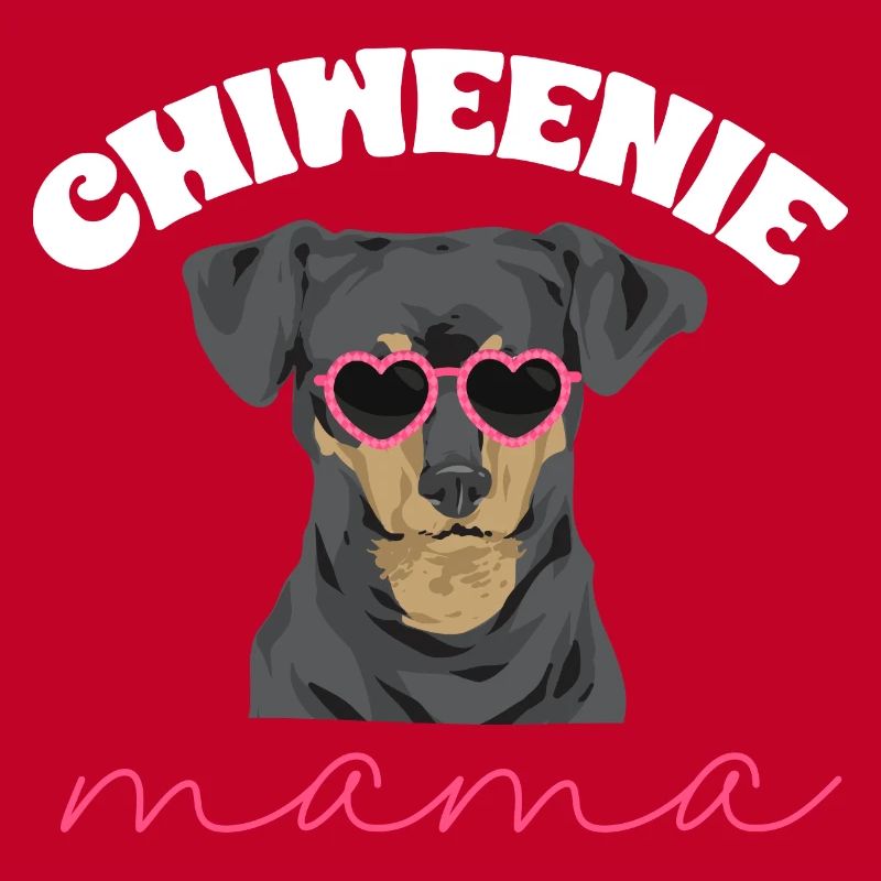 Chiweenie Dog