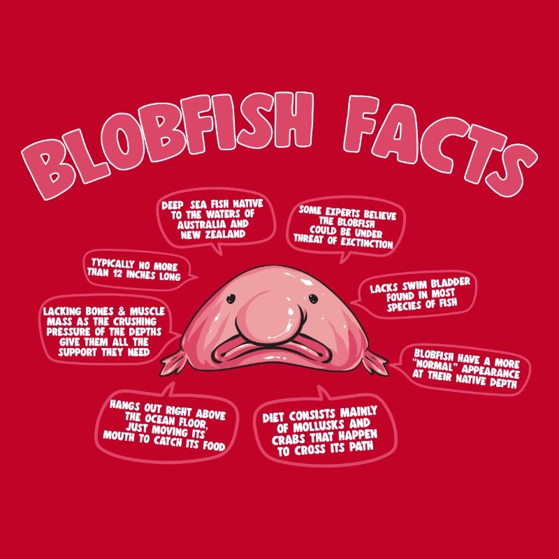 Blob fish