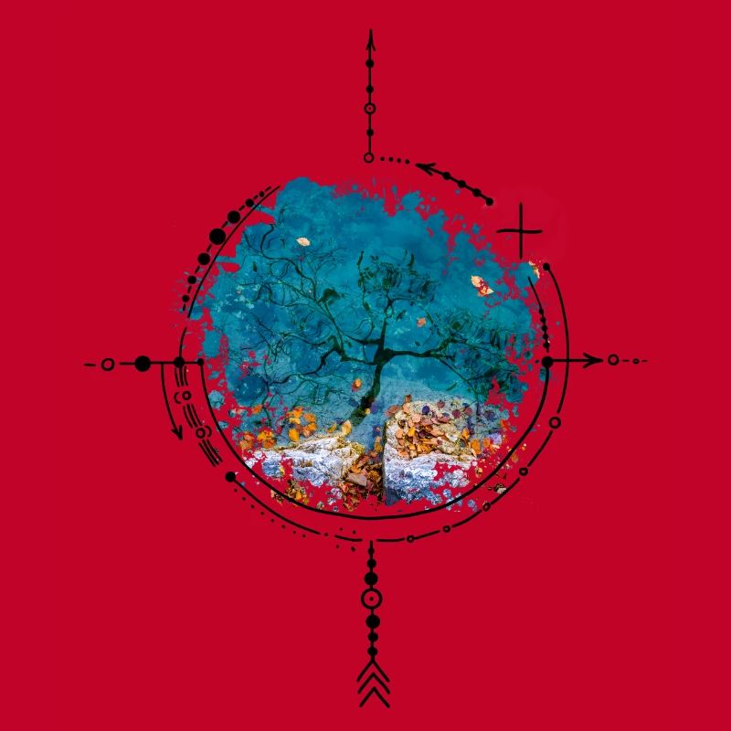Compass with tree reflection - photo version