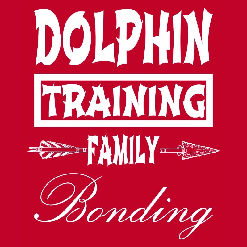 birthday present interactive dolphin experiences