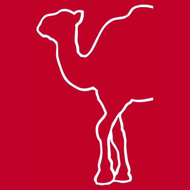 Camel - Kamel - Dromedar