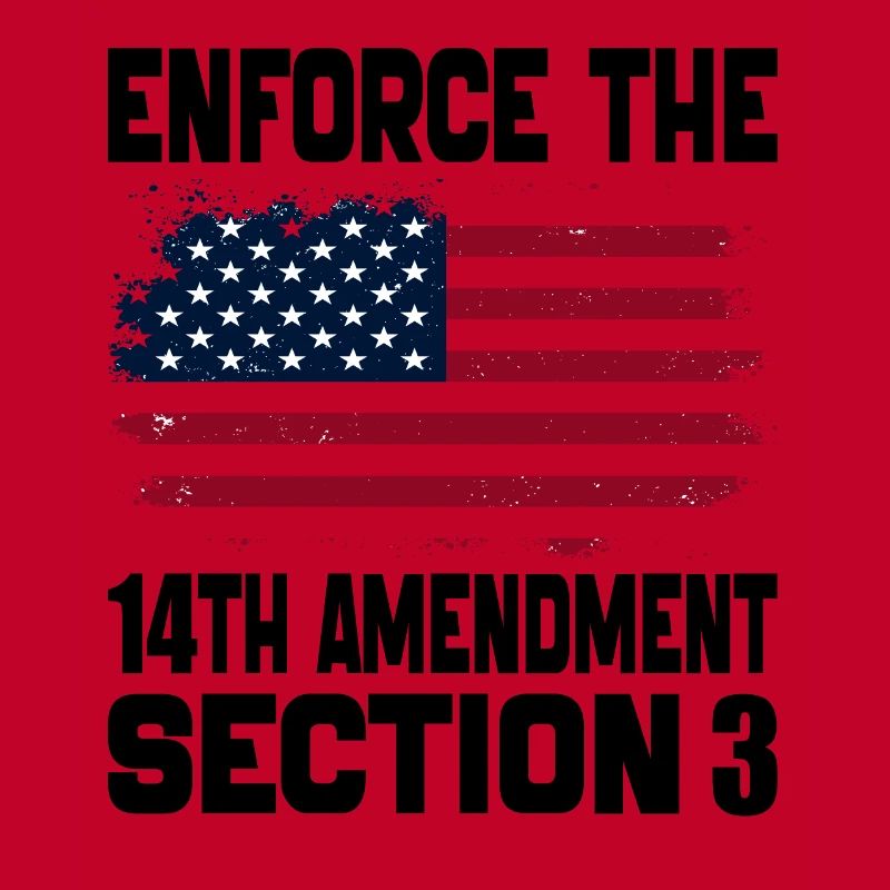 Enforce The 14TH Amendment Section 3