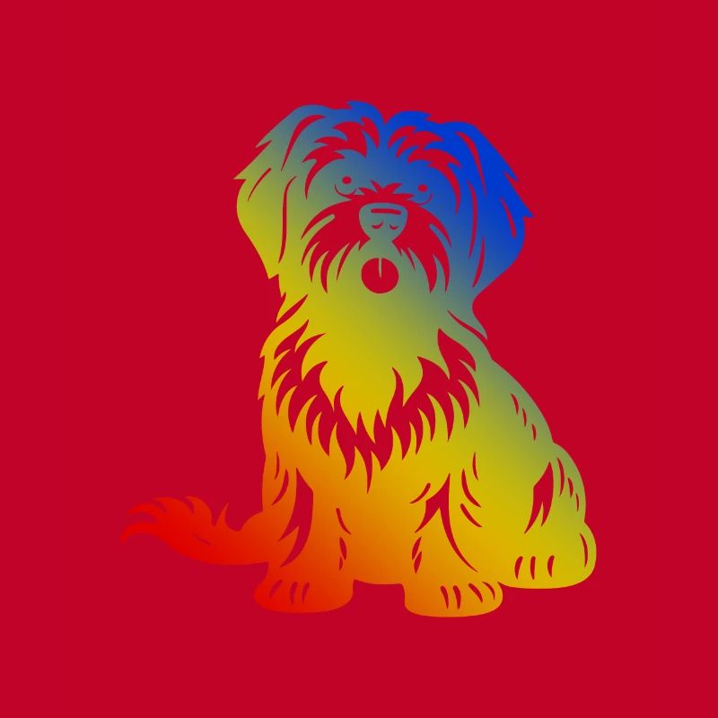 Havanese Hund