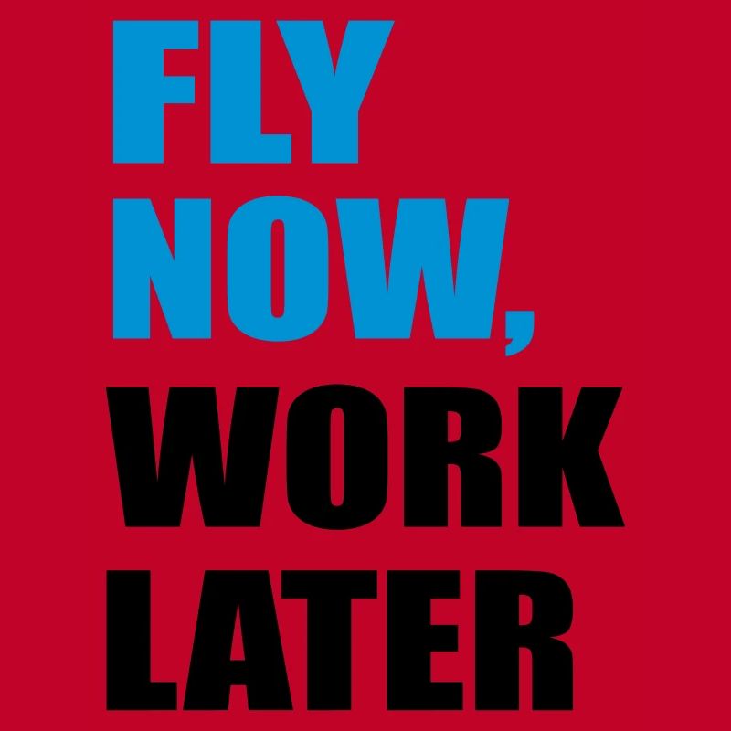 fly