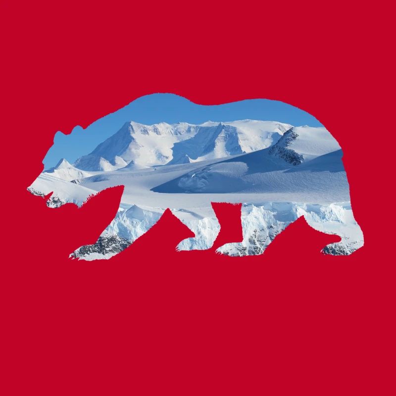 Ours polaire