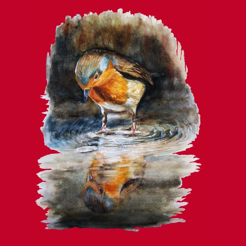 robin