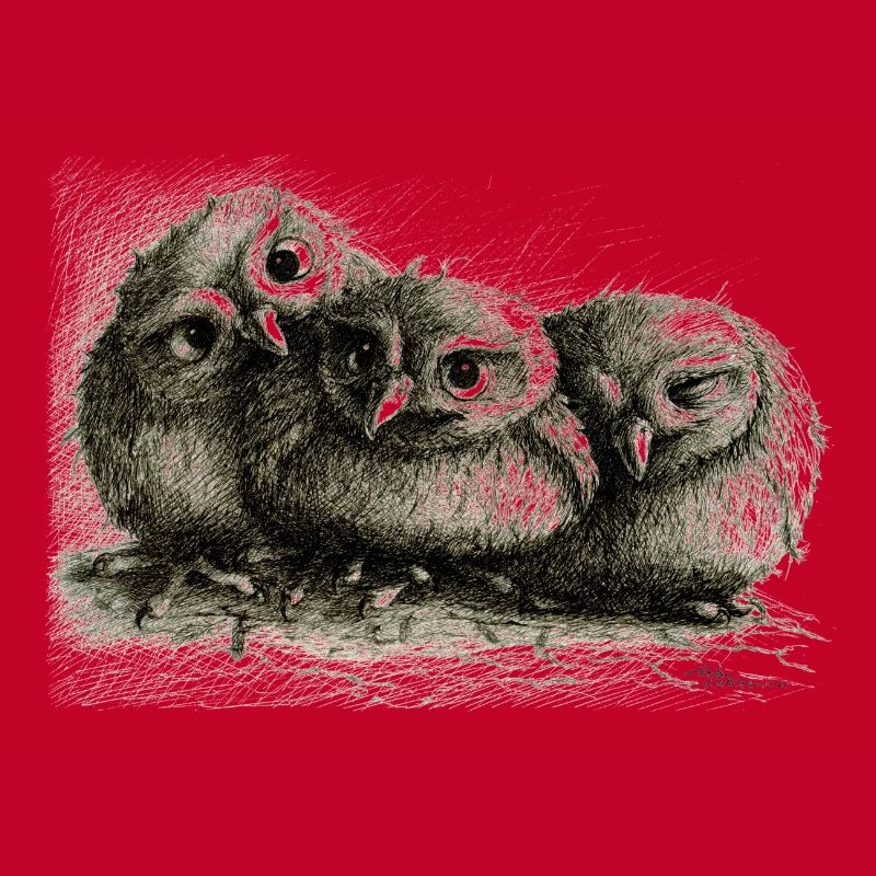 three young owls