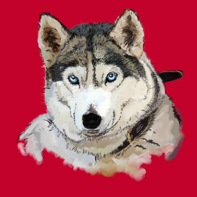 Husky