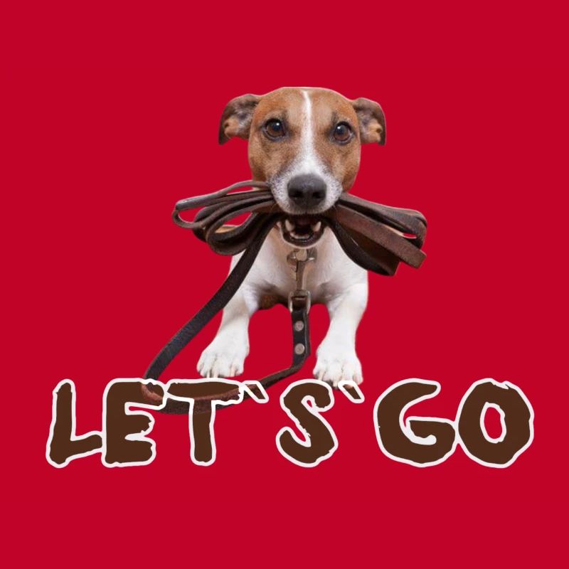jack russel