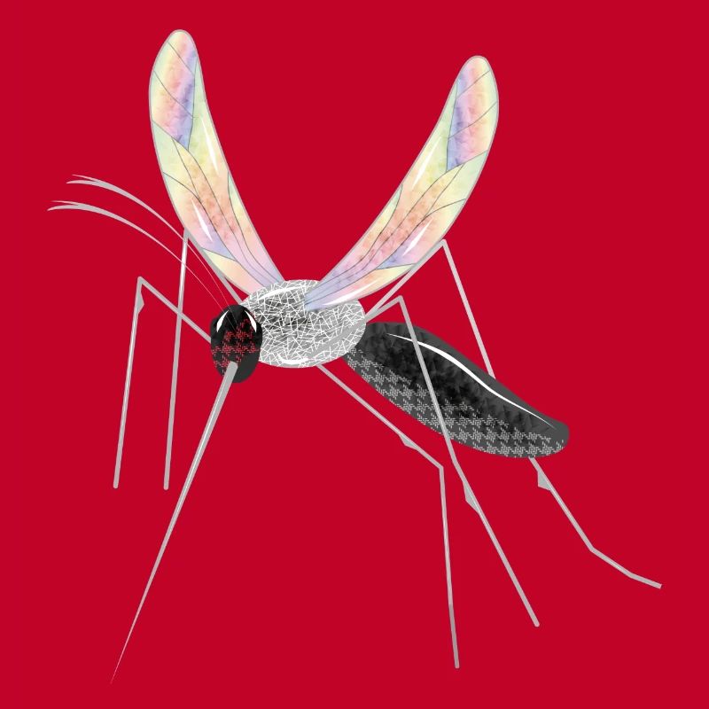 irisierende Zeichnung einer Stechmücke Mosquito