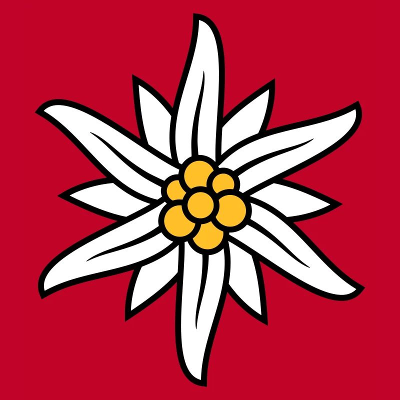 Logo Edelweiss Bergblume