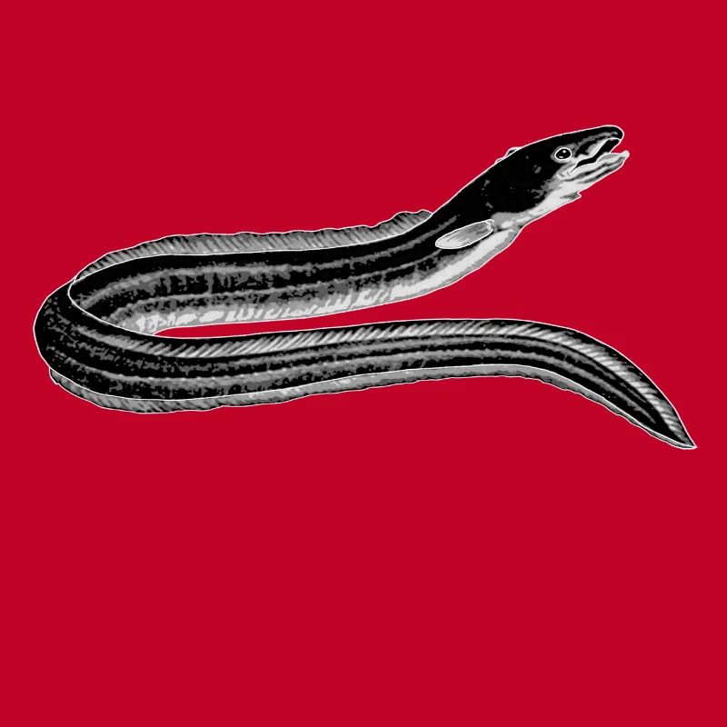 Aal