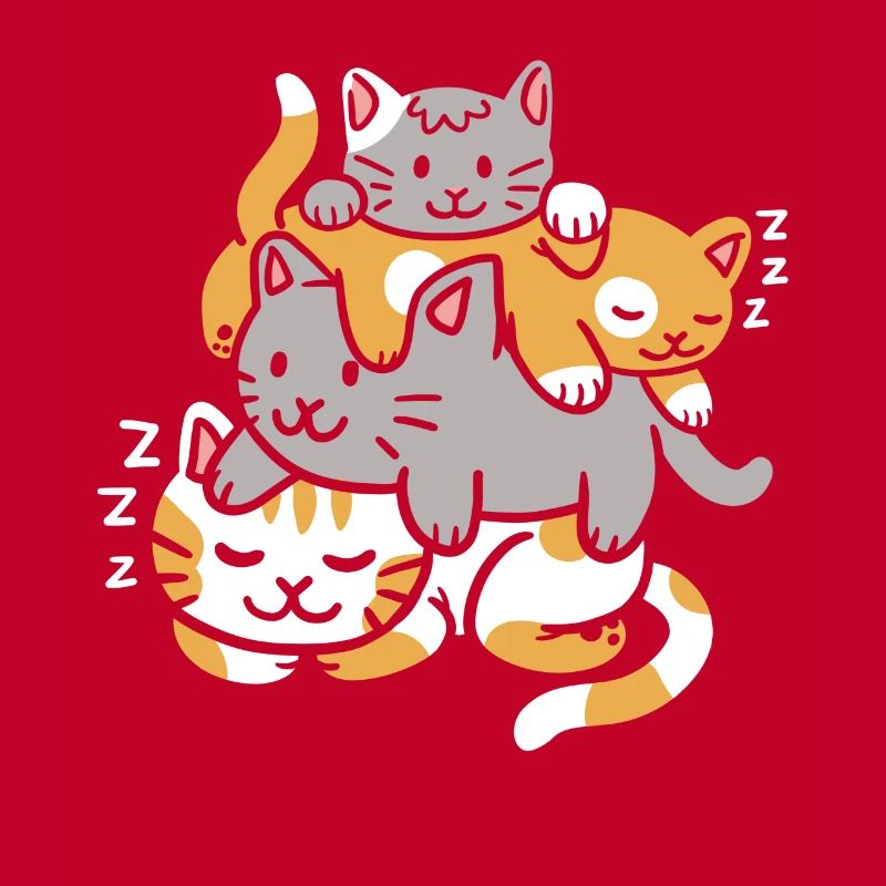 Katzen Kätzchen