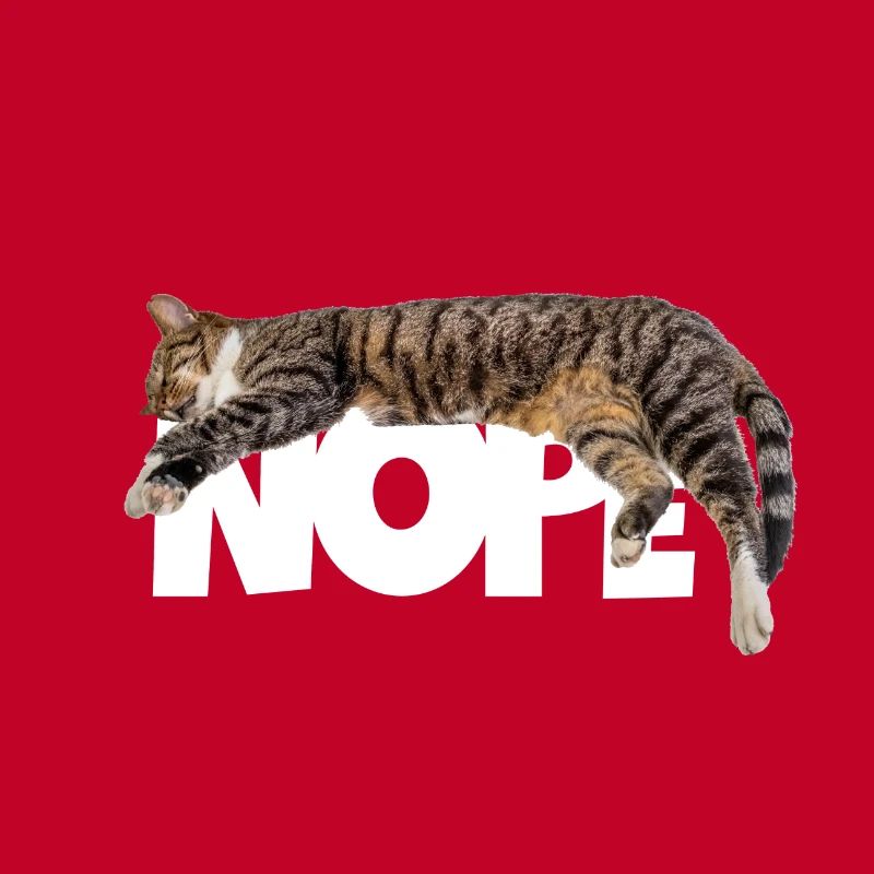 Nope cat