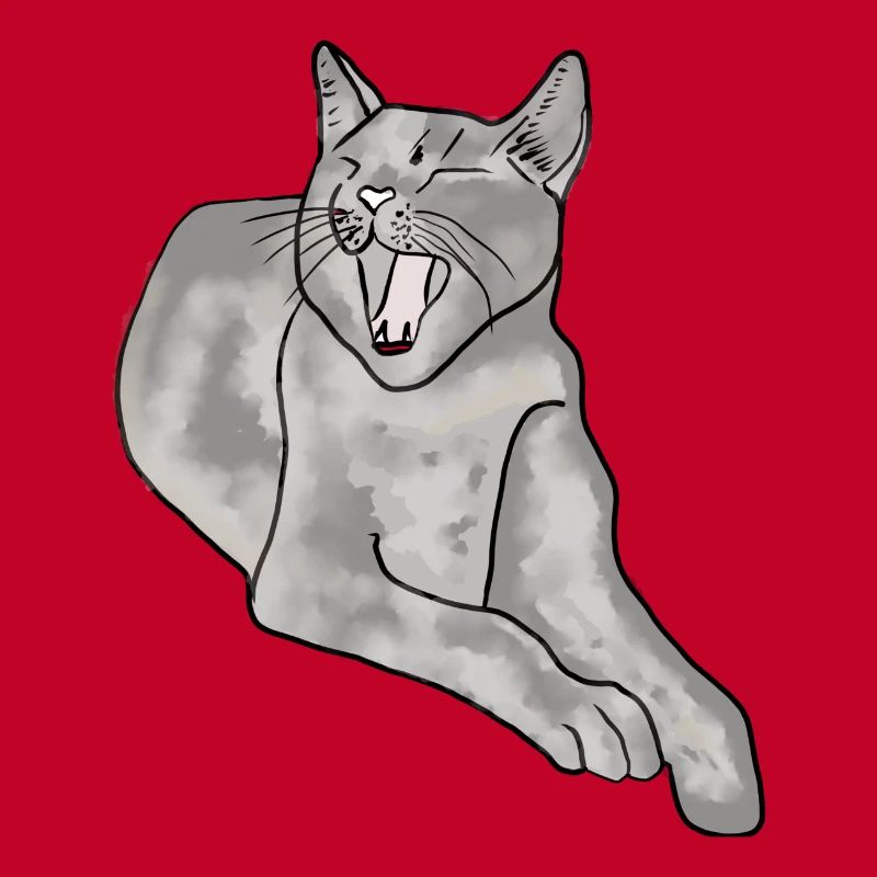 chat
