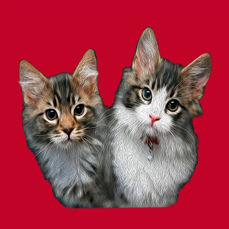Chatons
