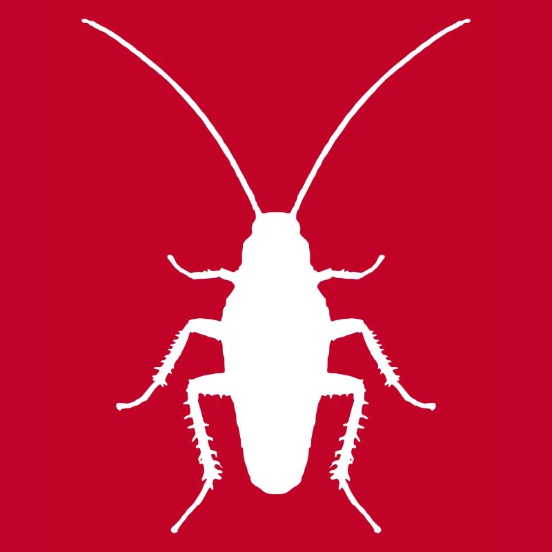 Entomologiste d’insectes cafards