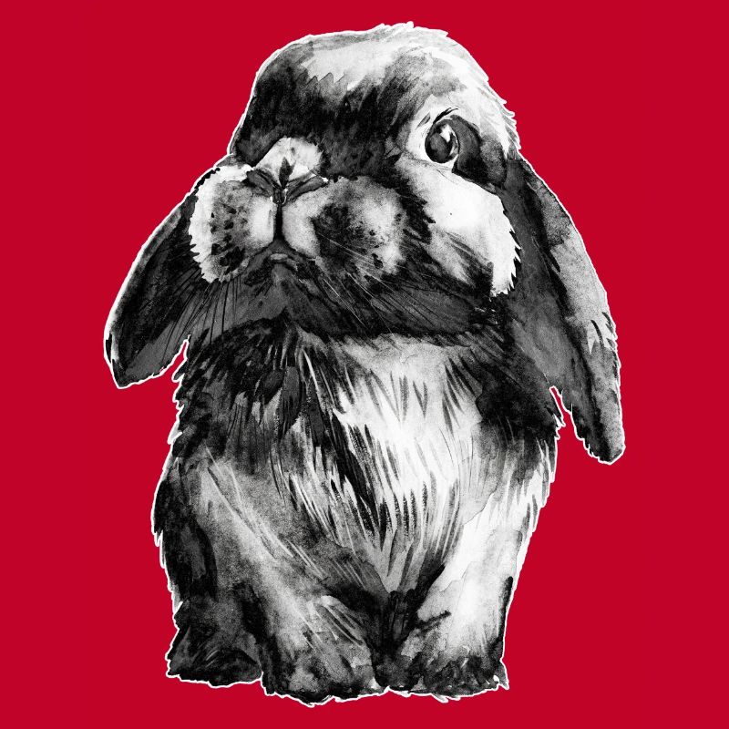 Lapin Lapin
