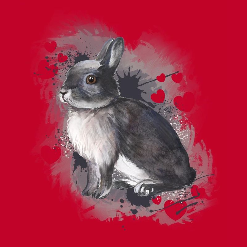 Lapin lapin